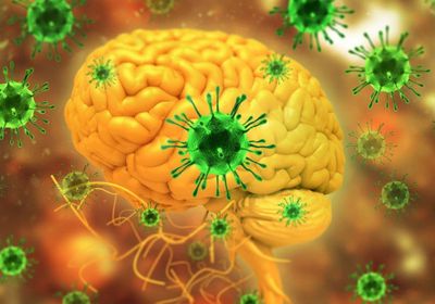  الهند ترصد أول إصابة بفيروس "زيكا"