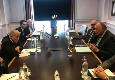  مصر وإسرائيل تبحثان الأزمة الفلسطينية