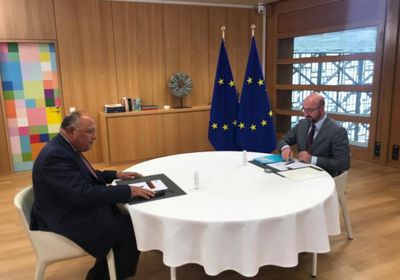  شكري يسلم رسالة السيسي للإتحاد الأوروبي