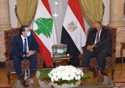 شكري يدعو إلى تغليب مصلحة لبنان خلال لقائه بالحريري