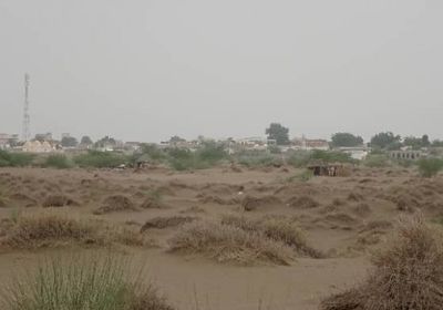 قذائف الحوثي تُجبر مزارعي التحيتا على ترك أعمالهم