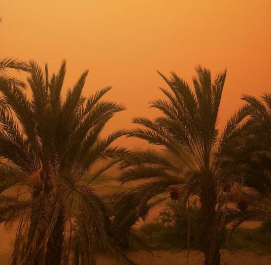 بالصور.. موجة غبار تضرب محافظة شبوة