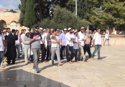 فلسطين تدعو لوقف انتهاكات الاحتلال للأقصى