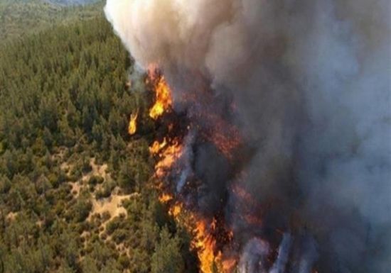 اليونان: اندلاع أكثر من 50 حريق غابات اليوم
