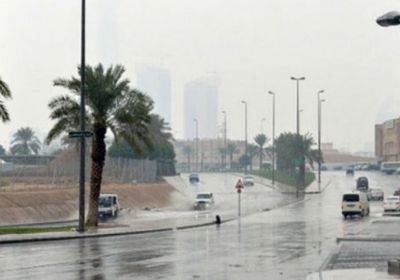 بالسعودية.. توقعات باستمرار هطول الأمطار الرعدية 