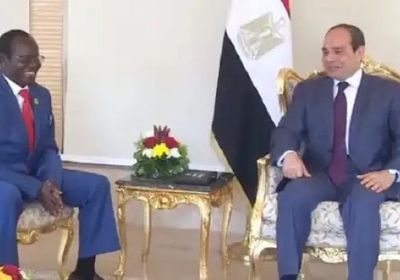 مصر وجنوب السودان تبحثان تطورات ملف سد النهضة