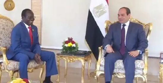 مصر وجنوب السودان تبحثان تطورات ملف سد النهضة