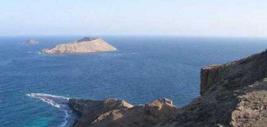 "الداخلية العرب" يدين استهداف سفينة سعودية بمسيرة حوثية