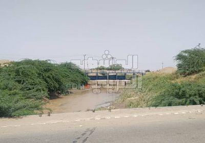 تصفية قناة سالم نصيب في منطقة المخزن الزراعية