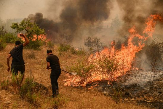  سلامة: النيران تحرق الأخضر واليابس في تركيا