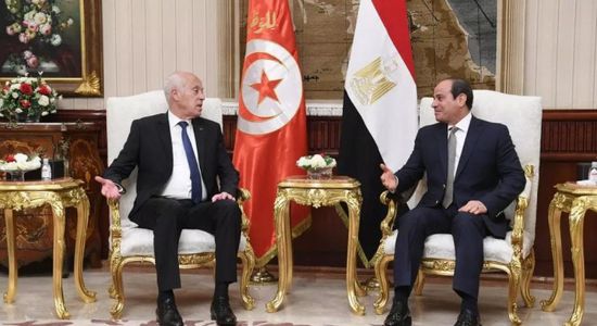 الرئيس المصري يبعث برسالة لنظيره التونسي