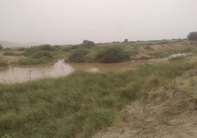 وسط تجاهل المسؤولين.. العطش يُهدد أراضي زنجبار