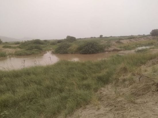 وسط تجاهل المسؤولين.. العطش يُهدد أراضي زنجبار