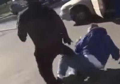 عصابة تعتدي على أكاديمي ونجله في إب