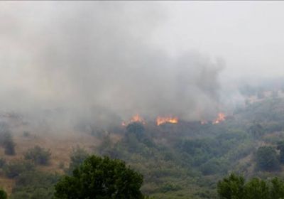 مصرع شخصين بحرائق الغابات في بلغاريا
