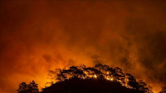 تركيا تغلق محطة للطاقة الحرارية بسبب الحرائق