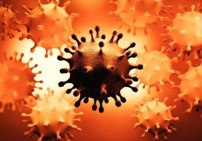 19 إصابة نشطة بـ"كورونا" في ساحل حضرموت