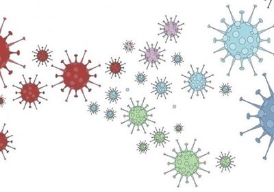 مصابان بكورونا في ساحل حضرموت