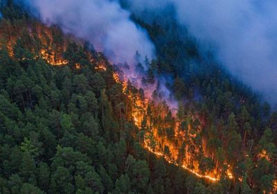 روسيا تعلن حالة الطوارئ بعد امتداد حرائق الغابات