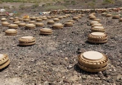 مسام يتخلص من 1415 لغمًا في أسبوع