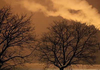  صربيا..حريق كبير يجبر سكان بلغراد على البقاء في منازلهم