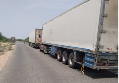 مع ارتفاع أسعاره.. مواطنون يمنعون تصدير الأسماك من أبين