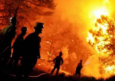 مصرع 4 أشخاص في حرائق الغابات بالجزائر