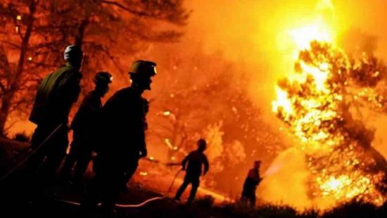مصرع 4 أشخاص في حرائق الغابات بالجزائر