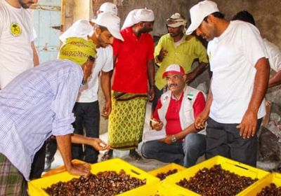 "خليفة الإنسانية" تسوق تمور مزارعي قيسو بسقطرى