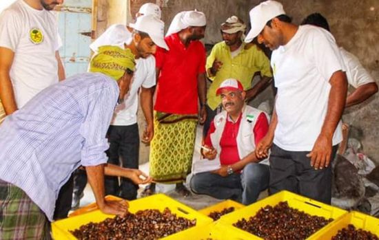 "خليفة الإنسانية" تسوق تمور مزارعي قيسو بسقطرى