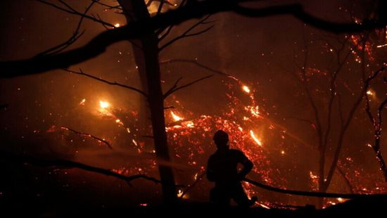 اليونان: ننتظر دعمًا جويًا لإخماد حريق جزيرة إيفا