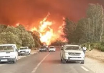 الأردن يعزي الجزائر في ضحايا حرائق الغابات