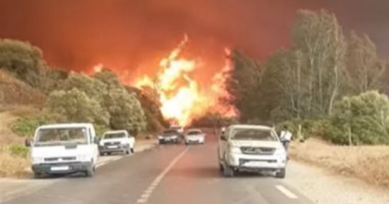 الأردن يعزي الجزائر في ضحايا حرائق الغابات