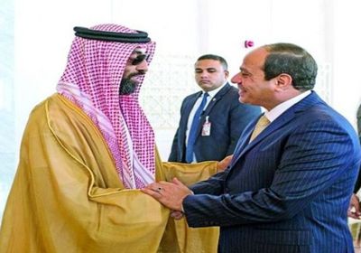  تفاصيل لقاء الرئيس المصري بوفد إماراتي في العلمين الجديدة