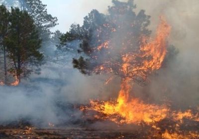  الجزائر: ارتفاع عدد ضحايا الحرائق إلى 42 بينهم 25 عسكريا