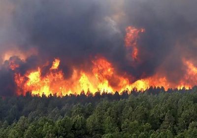  عاجل.. ارتفاع حصيلة ضحايا حرائق الجزائر إلى 65 شخصا