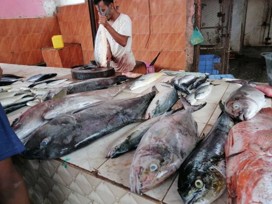 موجة غلاء تطال أسعار الأسماك في الحبيلين