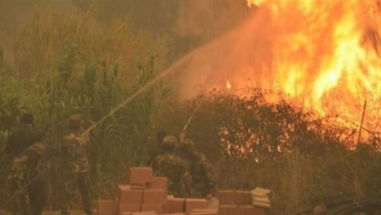 69 قتيلًا.. ارتفاع حصيلة ضحايا حرائق الغابات بالجزائر