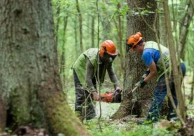 تظاهرة لنشطاء بيئيين قرب مقر البرلمان المجري