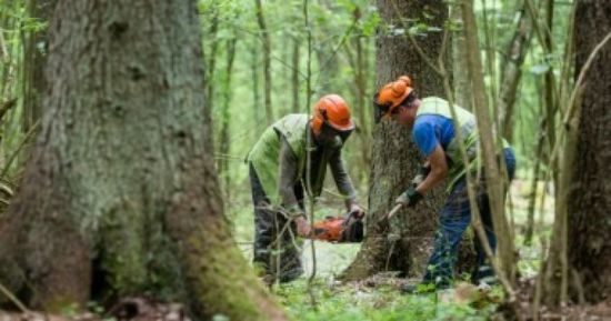تظاهرة لنشطاء بيئيين قرب مقر البرلمان المجري