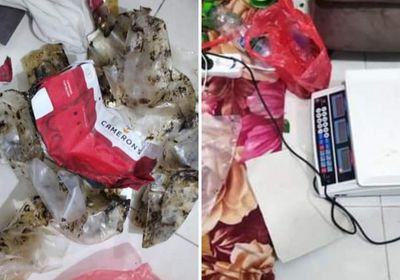 ضبط متهم بترويج الحشيش في المكلا