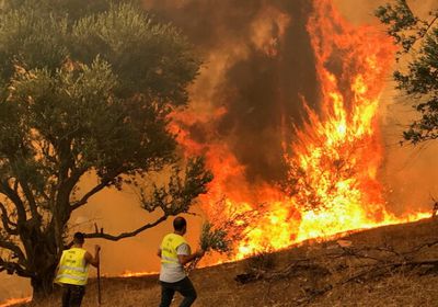  الجزائر: إخماد 76 حريقًا في 15 ولاية