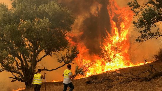  الجزائر: إخماد 76 حريقًا في 15 ولاية