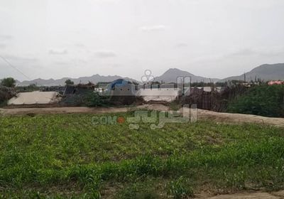 الاستيطان بثوب النزوح.. هجرات الشماليين تخطف أبين من هويتها