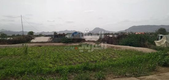 الاستيطان بثوب النزوح.. هجرات الشماليين تخطف أبين من هويتها