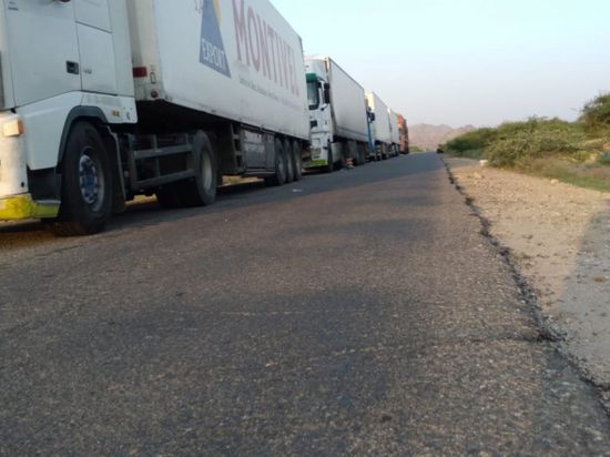 منع 55 شحنة أسماك من مغادرة مودية