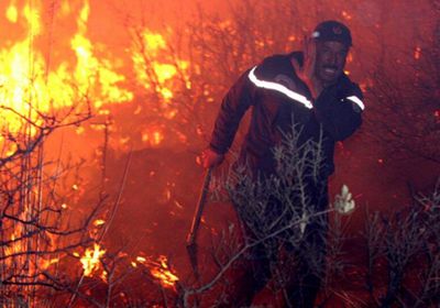 مسؤول جزائري يكشف سبب اشتعال حرائق الغابات