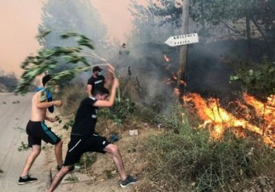الجزائر.. إخماد 41 حريق جديد في 9 ولايات