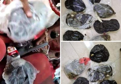 الإيقاع بعصابة لترويج المخدرات في ساحل حضرموت