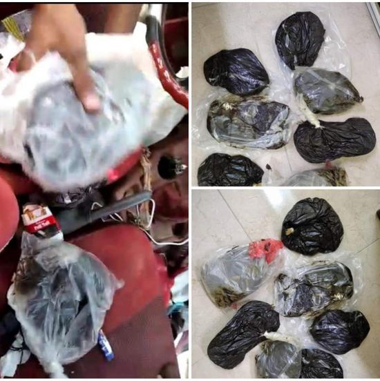 الإيقاع بعصابة لترويج المخدرات في ساحل حضرموت